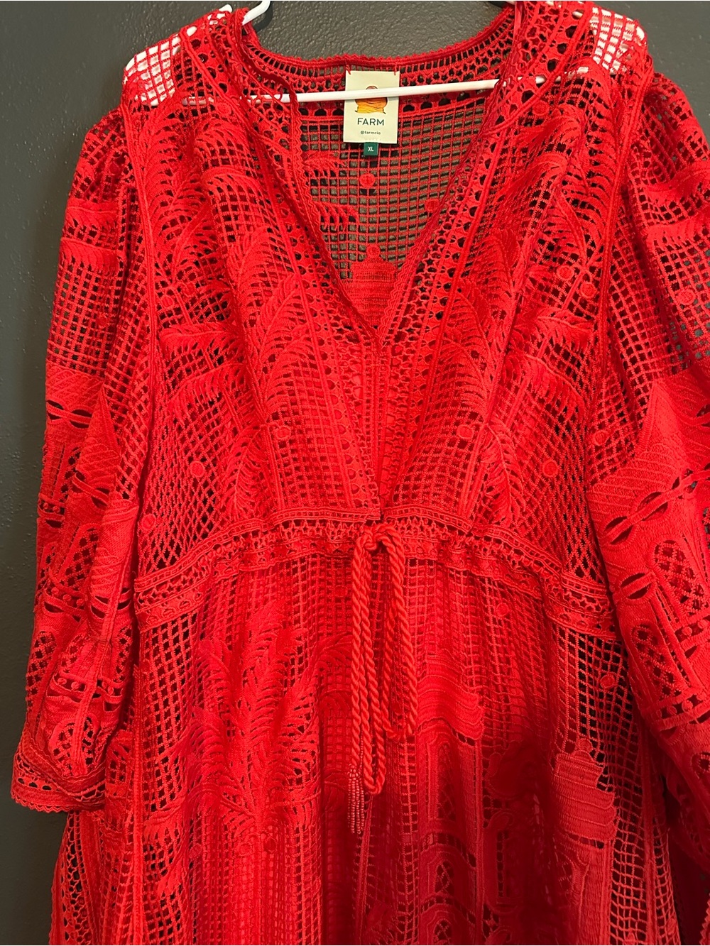 FARM Rio Red Morada Boa Guipure Maxi Dress - Picture 9 of 9